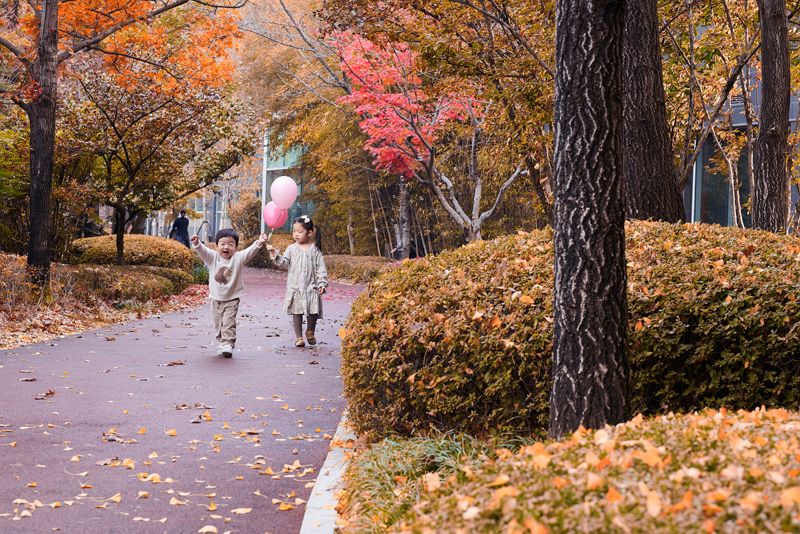 "아이와 가을 호캉스" 롤링힐스 호텔, ‘폴링 인 롤링 패키지’ 선보여