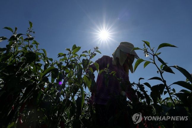 역대급 무더위에 올해만 2000명 넘은 '이 질환'