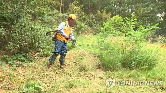 본문 내용과 무관한 자료 /사진=연합뉴스