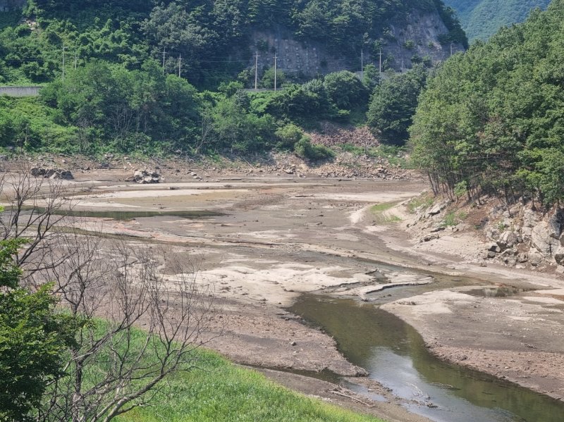 무더위가 이어진 14일 강원 강릉시 성산면 오봉저수지 인근 도마천 일대가 바닥을 드러내고 있다. 이날 기준 강릉 오봉저수지 저수율은 39.3%로 전국 평균(75.4%)보다 현저히 낮은 수준을 보이고 있다. 2024.8.14/뉴스1 ⓒ News1 윤왕근 기자