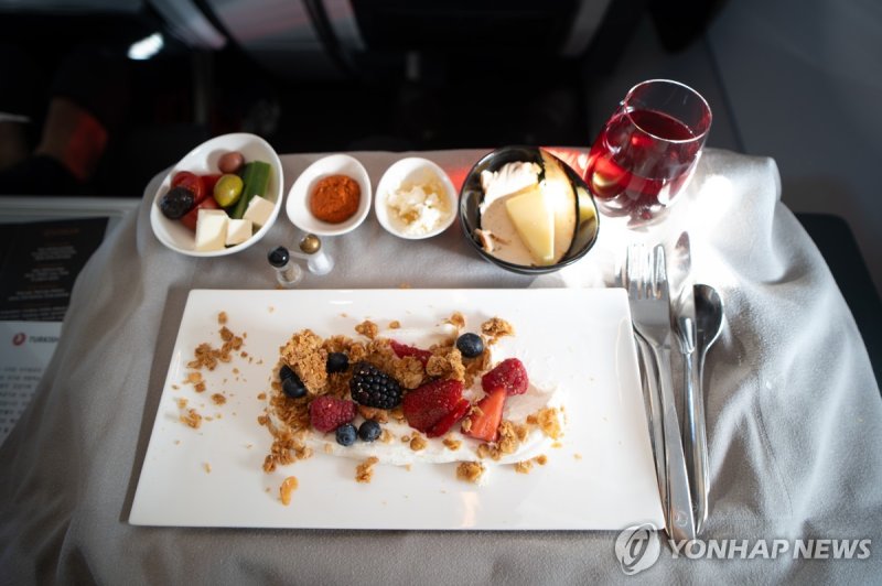 [imazine] 환승 여행의 최적지 이스탄불 ② 직항편보다 경유편이 좋은 이유 터키항공 기내식 [촬영 성연재]