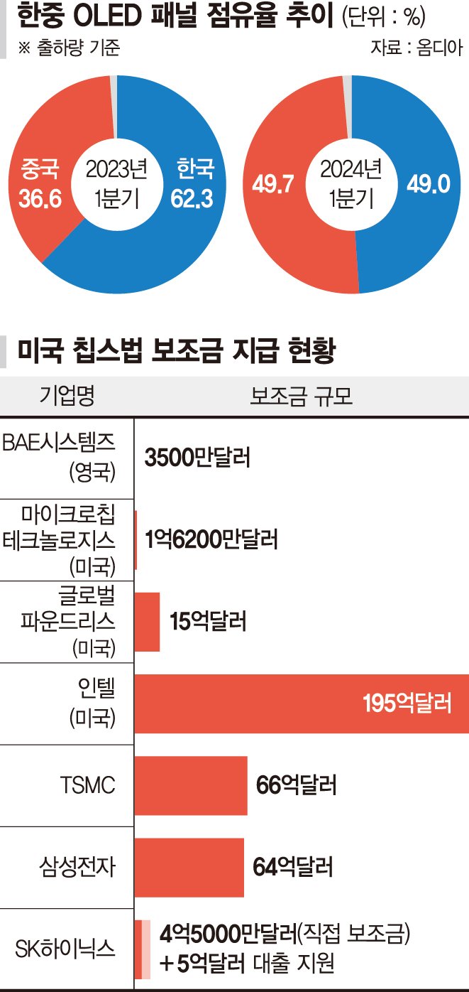 돈 빌려 투자하는 韓기업… 두둑한 정부 지원금 받는 中기업 ['돈 먹는 하마' 반도체·디스플레이]