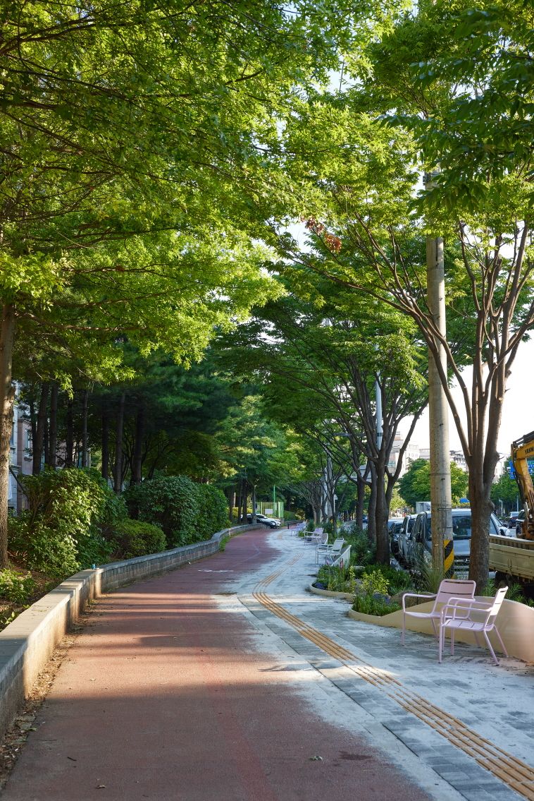 수원시 도심에서 즐길 수 있는 열린 가로숲길. 수원시 제공