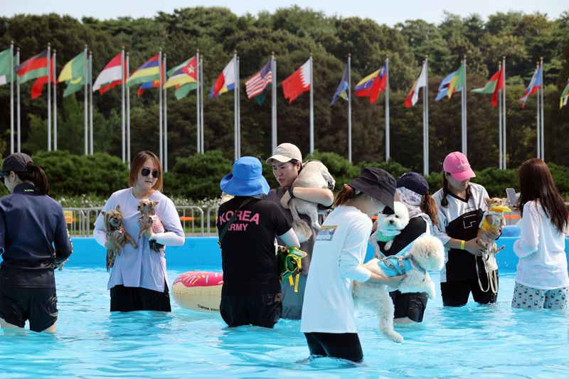 18일 서울 송파구 올림픽공원에서 개최한 ‘하하호호 올림픽 반려견 물놀이장’에서 반려견들과 견주들이 즐거운 시간을 보내고 있다. 사진=서동일 기자