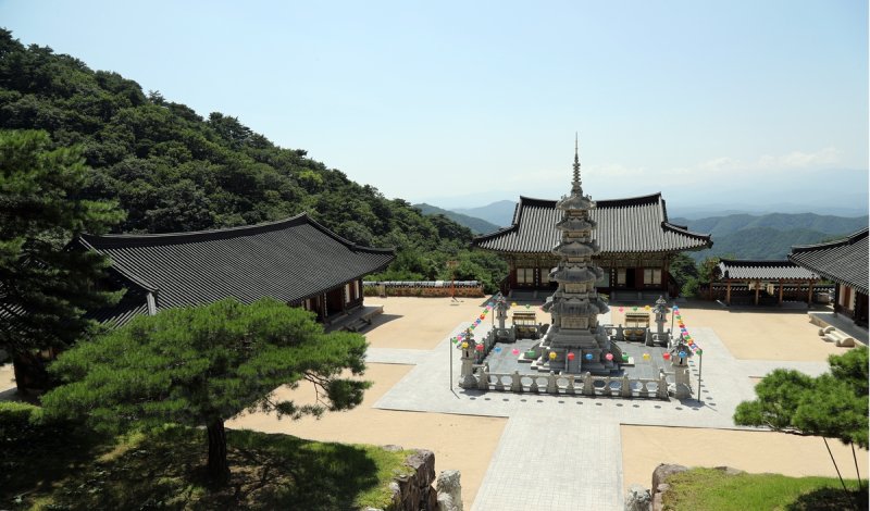 축서사 전경 (봉화=연합뉴스) 이세원 기자 = 13일 경북 봉화군 소재 축서사 대웅전 앞에서 바라본 오층보탑·보탑성전의 모습. 2024.8.19 sewonlee@yna.co.kr