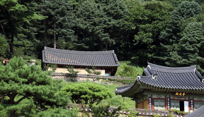 스님들의 수행 공간 (봉화=연합뉴스) 이세원 기자 = 13일 오후 경북 봉화군 축서사에서 스님들의 수행 공간인 문수선원(왼쪽 전각)에 가림막이 설치돼 있다. 2024.8.19 sewonlee@yna.co.kr