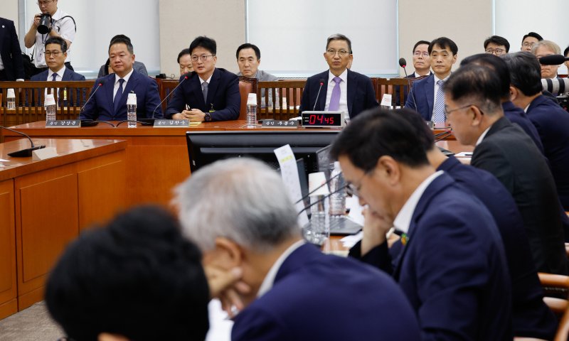 김찬수 대통령실 지방시대비서관실 행정관(전 영등포서장)이 20일 오전 서울 여의도 국회 행정안전위원회에서 열린 마약수사 외압 의혹 관련 청문회에서 의원 질의에 답하고 있다. 두번째줄 왼쪽 첫번째는 백해룡 경정(전 영등포서 형사과장). 2024.8.20/뉴스1 ⓒ News1 안은나 기자