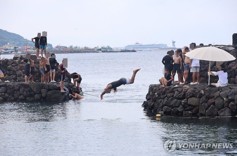 제주 포구 다이빙 /사진=연합뉴스