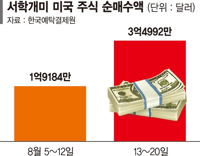 "환차손 무섭지 않다"… 美주식 쓸어담는 서학개미