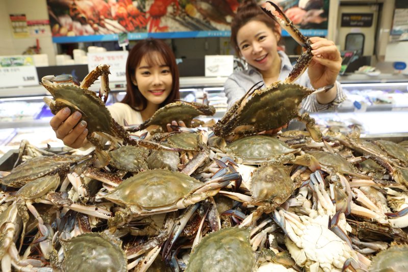 "살 꽉 찬 햇꽃게가 1만원에 6마리"… 대형마트 파격가 행진