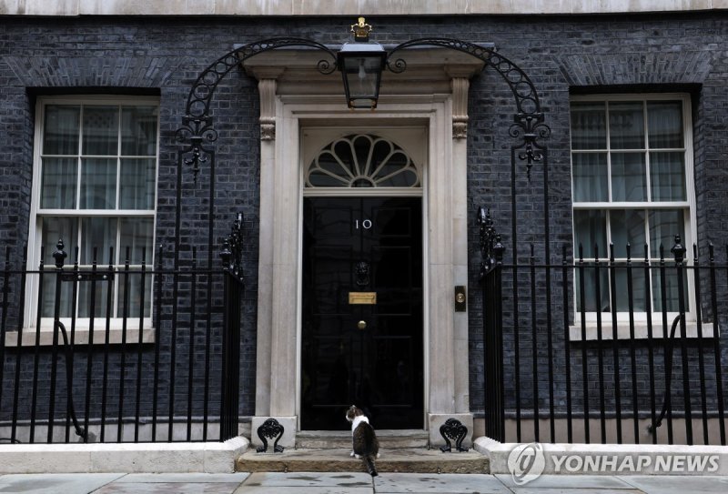 7월 5일 총선일에 다우닝가 10번지 지키는 터줏대감 래리 epa11454465 Larry, the Downing Street cat, sits on the doorstep of No. 10 ahead of the election in London, Britain, 03 July 2024. The UK is set to hold a general election on 04 July with the opposition Labour Party currently leading the Conservative Party by twenty p