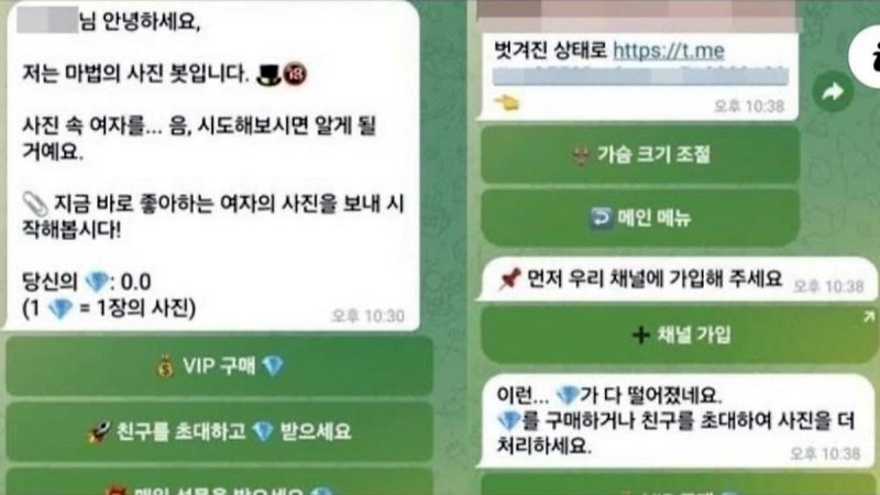 딥페이크로 음란물을 합성해주는 텔레그램 프로그램 /사진=연합뉴스