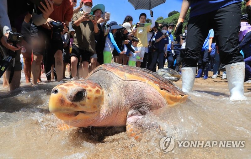 <연합뉴스>