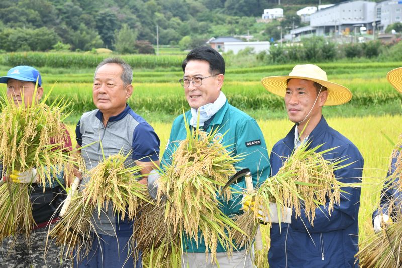 울산 울주군의 2024년 첫 벼 베기가 28일 울주군 두서면 신전 들녘에서 열린 가운데 이순걸 군수와 농민들이 수확한 벼를 보여주고 있다. 울주군 제공