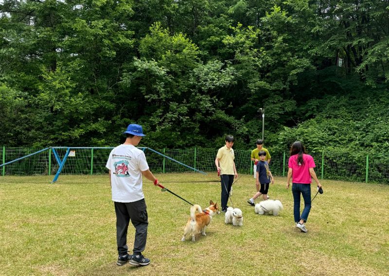 경기도 양평 산음휴양림 내 반려견 놀이터 모습.