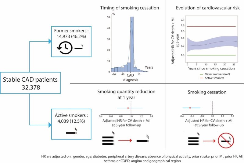 흡연이 관상동맥질환 환자의 심혈관 위험에 미치는 영향 ESC Congress 2024 / Jules Mesnier et al. 제공. 재판매 및 DB 금지]