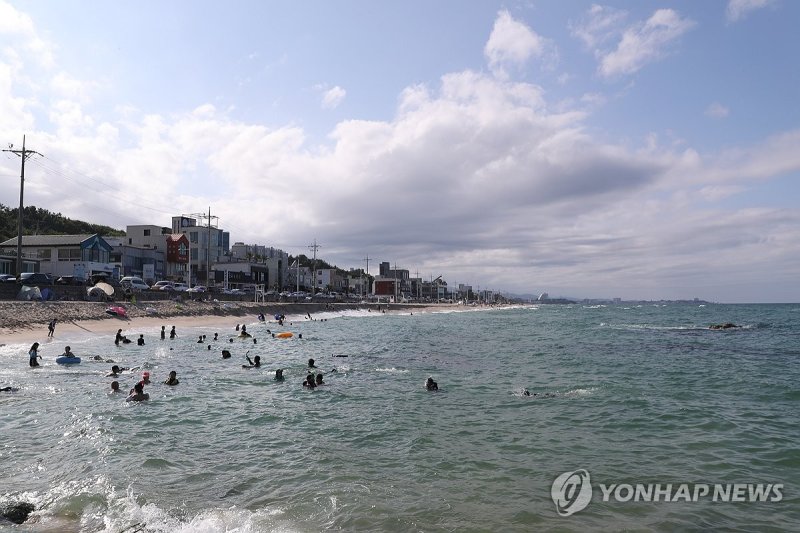 막바지 피서 행렬 이어지는 동해안 막바지 피서 행렬 이어지는 동해안 (강릉=연합뉴스) 류호준 기자 = 31일 오후 강원 강릉시 사천면 사천해수욕장에 피서객들의 발길이 이어졌다. 2024.8.31 ryu@yna.co.kr (끝)