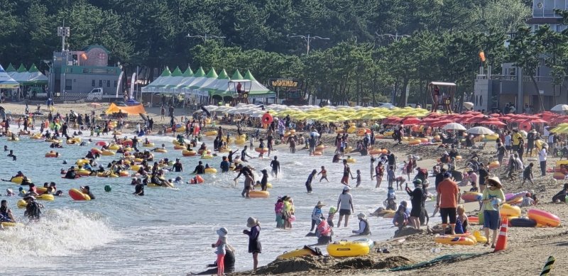 울산 울주군 서생면 진하해수욕장. 울주군 제공