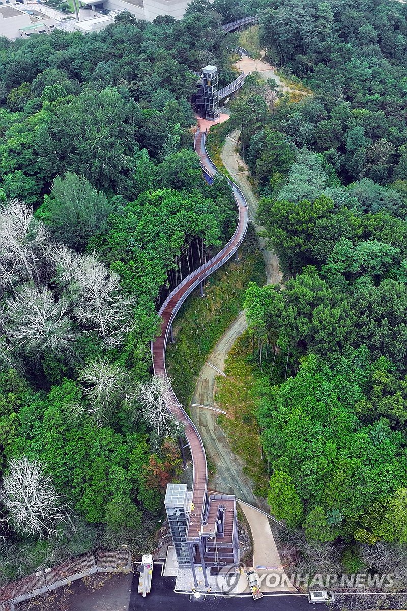 개장 앞둔 중외공원 하늘다리 개장 앞둔 중외공원 하늘다리 (광주=연합뉴스) 김혜인 기자 = 6일 광주 북구 운암동 중외근린공원 일원에 광주시립미술관과 예술의전당을 잇는 하늘다리가 조성됐다. 광주시립미술관은 중외공원 일대에 예술과 자연을 담은 '아시아 예술정원'을 오는 7일 개장한다. 2024.9.6 in@yna.co.kr (끝)
