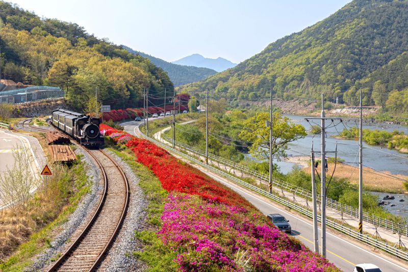 [남도둘러보기]전남도 추천 가을 드라이브 코스 어디?