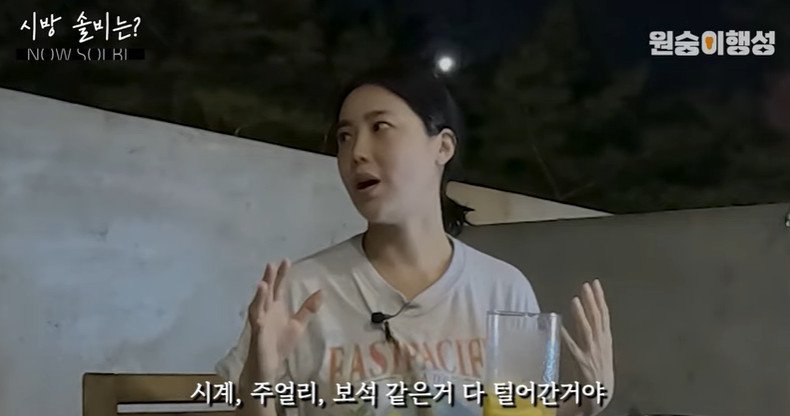 솔비 도둑에 2억원어치 털렸다…시계·주얼리·보석까지