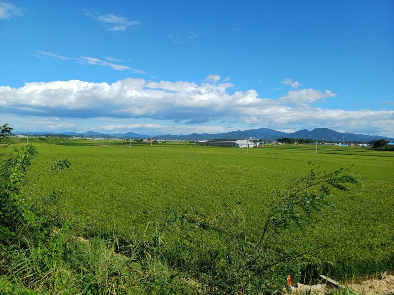 풍요 바탕으로 시&middot;서&middot;화 발달… 동시에 탐관오리 폐해 심해 [이민부 교수의 지리로그]