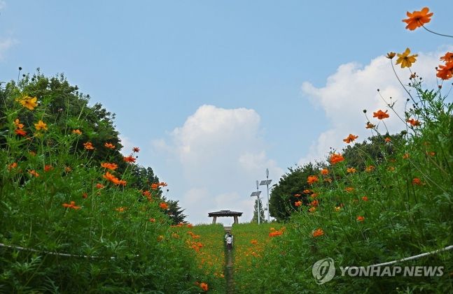 "고향 가다 졸도하겠네"…추석 앞두고 전국 80% '폭염특보'