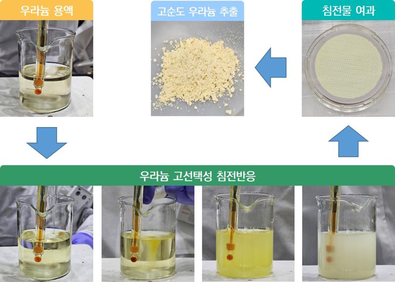 한국원자력연구원 방사성폐기물총괄관리실 은희철 박사팀이 개발한 기술을 활용해 우라늄 용액에서 침전반응을 통해 고순도 우라늄을 추출하고 있다. 원자력연구원 제공