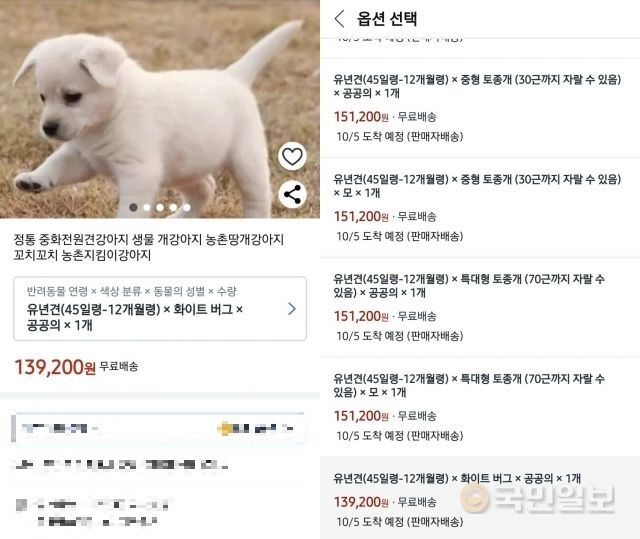 "강아지, 상자에 담에 해외배송 한다"..쿠팡에 뜬 반려견 판매글 논란