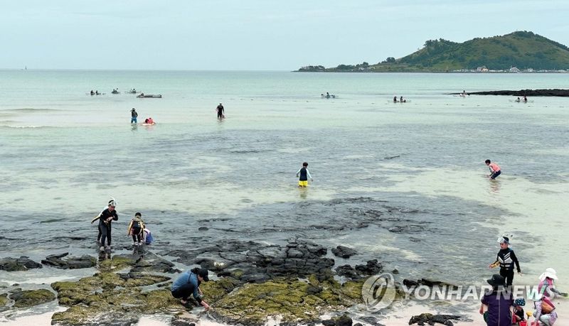 '그 돈으로 동남아 간다'더니…"역시 제주가 최고야" 우르르 몰렸다