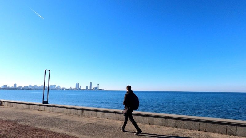 "흑해 휴양지 조지아에서 보름살기" [시로와 탄의 '내차타고 세계여행' 365일]