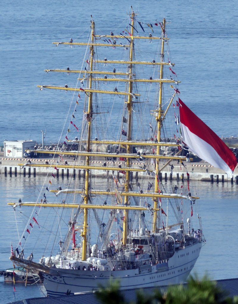 [부산=뉴시스] 하경민 기자 = 인도네시아 해군 실습선 '비마수치함'(KRI BIMA SUCI·2350t)이 13일 오전 부산 남구 해군작전사령부 부산작전기지에 입항하고 있는 가운데 승조원들이 돛대 위에 도열하고 있다. 비마수치함은 길이 111m, 폭 13.5m 규모의 대형 범선으로, 이번 부산 방문은 2019년에 이어 2번째다. 2024.09.13. yulnetphoto@newsis.com