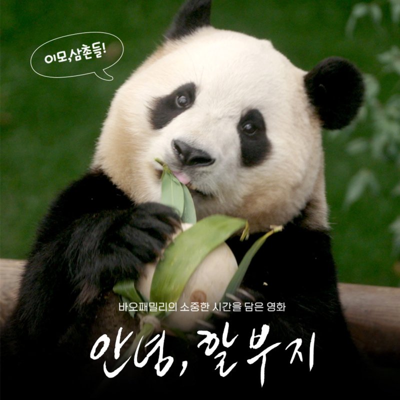 엔딩 크레딧 이벤트 이미지. (삼성물산 리조트부문 제공) 2024.6.21/뉴스1