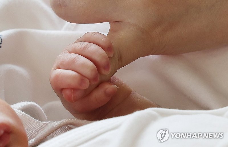 기사의 이해를 돕기 위한 자료사진 /연합뉴스