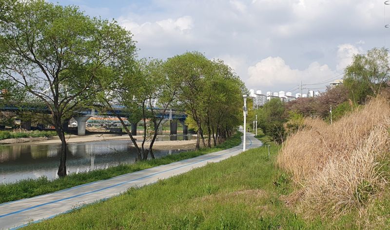 광주광역시가 539개 노선 669㎞(2023년 말 기준)에 달하는 시내 자전거도로<사진>에 대한 안전 관리 실태 감찰을 오는 23일부터 10월 18일까지 실시한다.