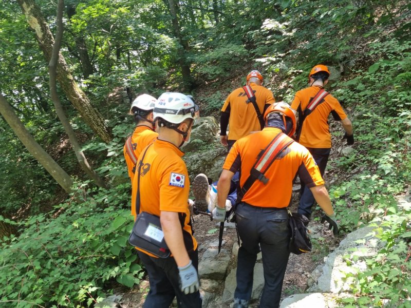 추석성묘 갔다 발견한 버섯, 횡재?…"함부로 먹다간 큰일"