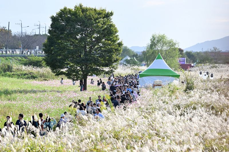 서창억새축제 모습