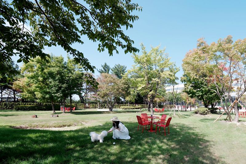 어질리티·물놀이장·펫카페… 우리집 댕댕이 하루종일 놀더니 '꿀잠' [Weekend 레저]