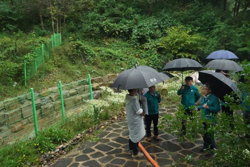 임상섭 산림청장,집중호우 대비 울주 산사태 복구지 점검