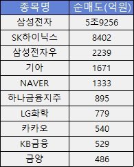 9월2~20일 외국인 순매도 상위 10대 종목. (자료=한국거래소) *재판매 및 DB 금지