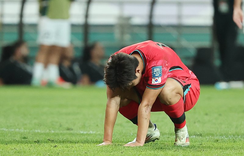 이러니 잔디가 엉망이지 … 상암, 콘서트로 82억 벌고 잔디 관리에 고작 2.5억?