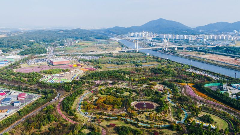 10월 2∼13일 ‘2024 드림파크 국화축제’가 열리는 인천 서구 수도권매립지 내 야생화단지 전경. 수도권매립지관리공사 제공.