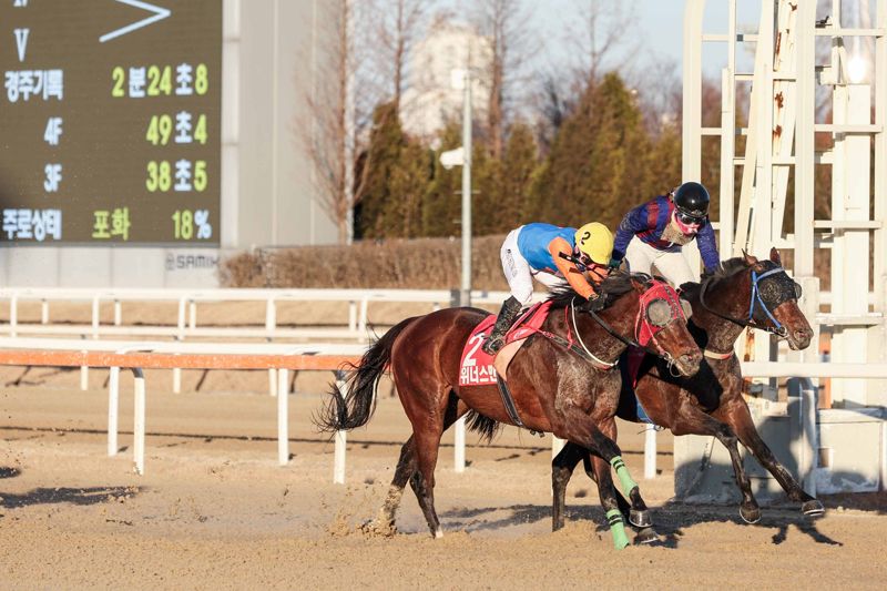 한국 경마 최고 업적 남긴 명마 '위너스맨' 29일 은퇴