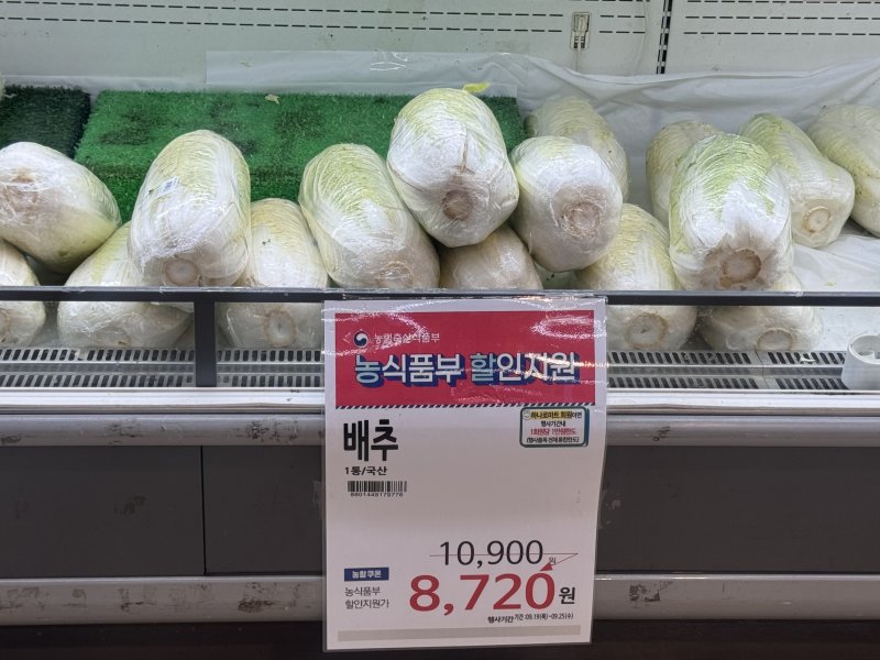 울산 북구 하나로마트 농협울산유통센터에서는 지난 25일까지 농식품부의 할인 지원을 받아 배추 1포기에 8720원에 팔렸다.2024.9.25./뉴스1 김세은 기자