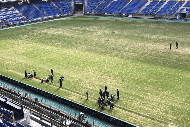 K리그 울산 HD FC의 홈구장인 울산 문수경기장에 잔디가 말라 죽어 울산시설공단 직원들이 잔디 보식 작업을 진행하고 있다. 파이낸셜뉴스 사진DB