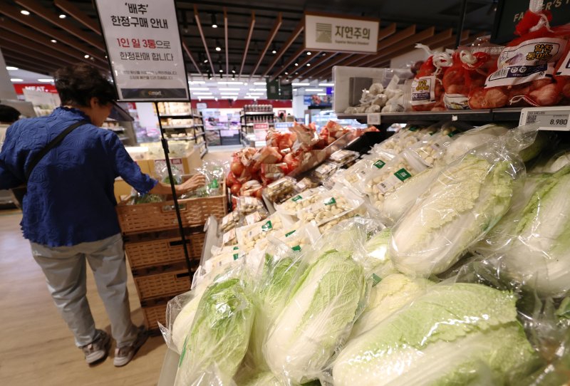 서울의 한 대형마트에서 시민이 배추를 고르고 있다. /뉴스1 ⓒ News1 구윤성 기자