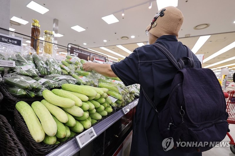 무섭게 비싸지는 채솟값 무섭게 비싸지는 채솟값 (서울=연합뉴스) 임화영 기자 = 깻잎 가격이 사상 최고 수준으로 높아져 한장에 100원 안팎에 팔리고 있다. 1일 농수산식품유통공사 가격정보(KAMIS)에 따르면 깻잎(상품) 100ｇ당 평균 소매 가격은 지난달 하순 3천514원으로 2개월 전보다 약 1천원 올랐다. 작년 같은 기간과 비교하면 400원가량(13%) 상승했다. 9월 한 달 평균 깻잎 가격은 3천436원으로 KAMIS에서 월간 가격을 조회할 수 있는 2014년 이후 월간 기준 최고다. 이는 5년 전인 2019년 9월 가격(