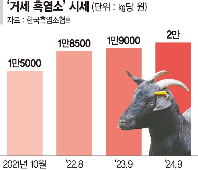 보신탕 금지에… 개 대신 염소 찾는다