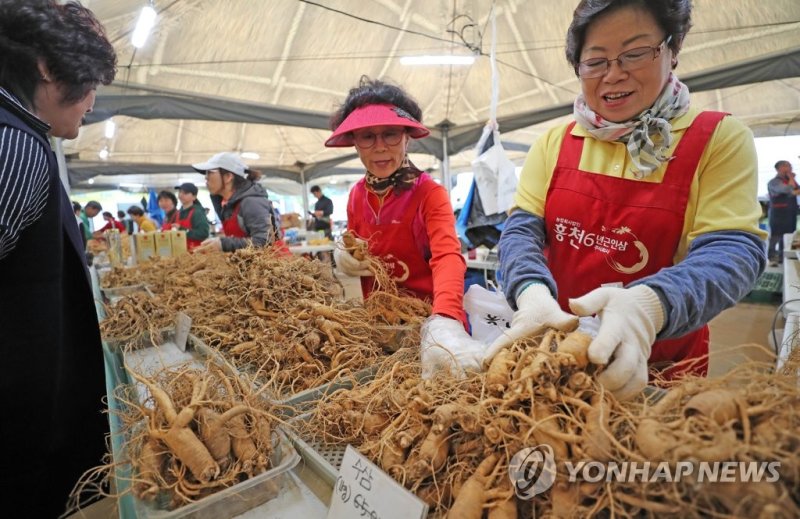 "인삼·한우 맛보러 오세요"...제22회 홍천 인삼·한우 명품축제 오는 3일 개막