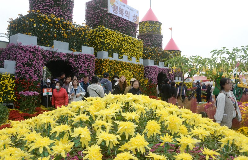 전북 익산 천만송이 국화축제 자료사진. 뉴시스